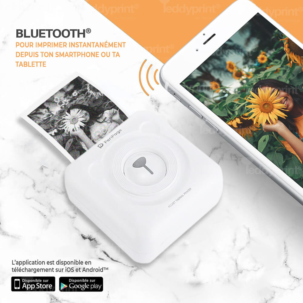 TEDDYPRINT® Imprimante Photo Portable Bluetooth Sans Encre